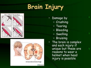 Brain Injury Damage by Crushing Tearing Bleeding Swelling Bruising The brain is complex and each injury if unique but these are reasons to wear a helmet when head injury is possible 