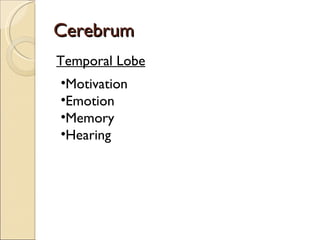 Cerebrum Temporal Lobe Motivation Emotion Memory Hearing 