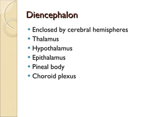 Diencephalon Enclosed by cerebral hemispheres Thalamus Hypothalamus Epithalamus Pineal body Choroid plexus 