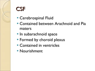 CSF Cerebrospinal Fluid Contained between Arachnoid and Pia maters In subarachnoid space Formed by choroid plexus Contained in ventricles Nourishment 