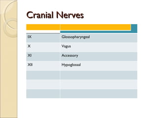 Cranial Nerves I I Olfactory IX Glossopharyngeal X Vagus XI Accessory XII Hypoglossal 