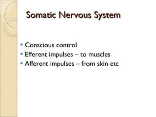 Somatic Nervous System Conscious control Efferent impulses – to muscles Afferent impulses – from skin etc 