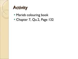 Activity Marieb colouring book Chapter 7, Qu.2, Page 132 