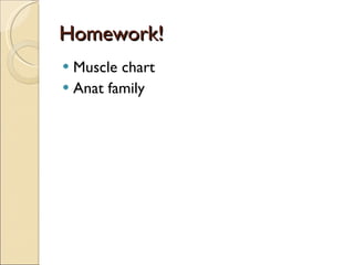 Homework! Muscle chart Anat family 