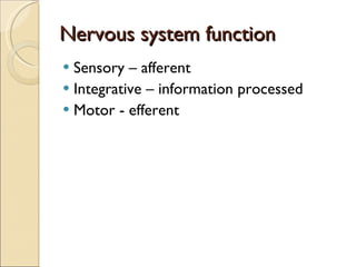 Nervous system function Sensory – afferent Integrative – information processed Motor - efferent 