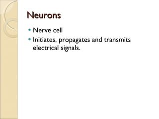 Neurons Nerve cell Initiates, propagates and transmits electrical signals. 
