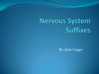 Nervous System Suffixes By: Jorie Geiger 