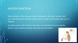 detailed study of Nervous system-1.pptx