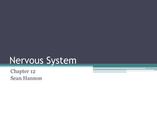 Nervous System  Chapter 12  Sean Hannon 