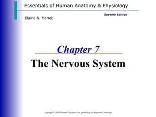 Essentials of Human Anatomy & Physiology Copyright © 2003 Pearson Education, Inc. publishing as Benjamin Cummings Seventh Edition Elaine N. Marieb Chapter 7 The Nervous System 