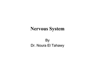 Nervous System
By
Dr. Noura El Tahawy
 