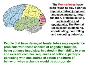 The Frontal lobes have
been found to play a part in
impulse control, judgment,
language, memory, motor
function, problem solving,
socialization and
spontaneity. The Frontal
lobes assist in planning,
coordinating, controlling
and executing behavior.
People that have damaged frontal lobes may experience
problems with these aspects of cognitive function,
being at times impulsive; impaired in their ability to plan
and execute complex sequences of actions; perhaps
persisting with one course of action or pattern of
behavior when a change would be appropriate.
 