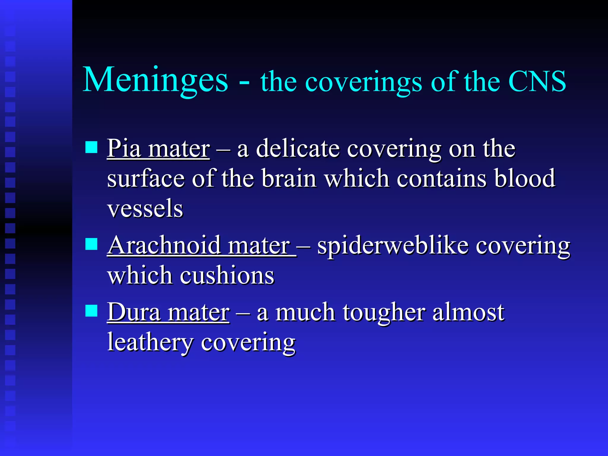 Meninges -  the coverings of the CNS   Pia mater  – a delicate covering on the surface of the brain which contains blood vessels   Arachnoid mater  – spiderweblike covering which cushions   Dura mater  – a much tougher almost leathery covering   