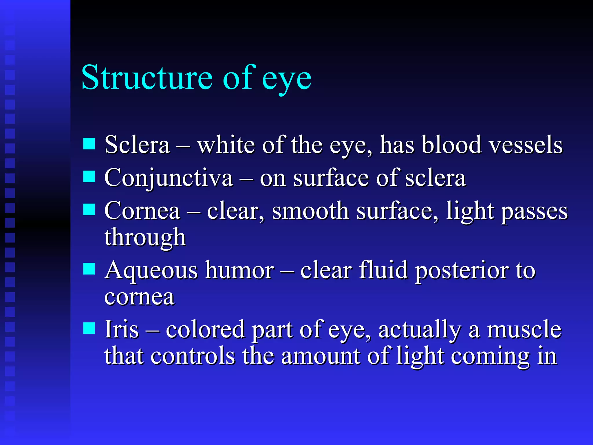 Structure of eye Sclera – white of the eye, has blood vessels Conjunctiva – on surface of sclera Cornea – clear, smooth surface, light passes through Aqueous humor – clear fluid posterior to cornea Iris – colored part of eye, actually a muscle that controls the amount of light coming in 