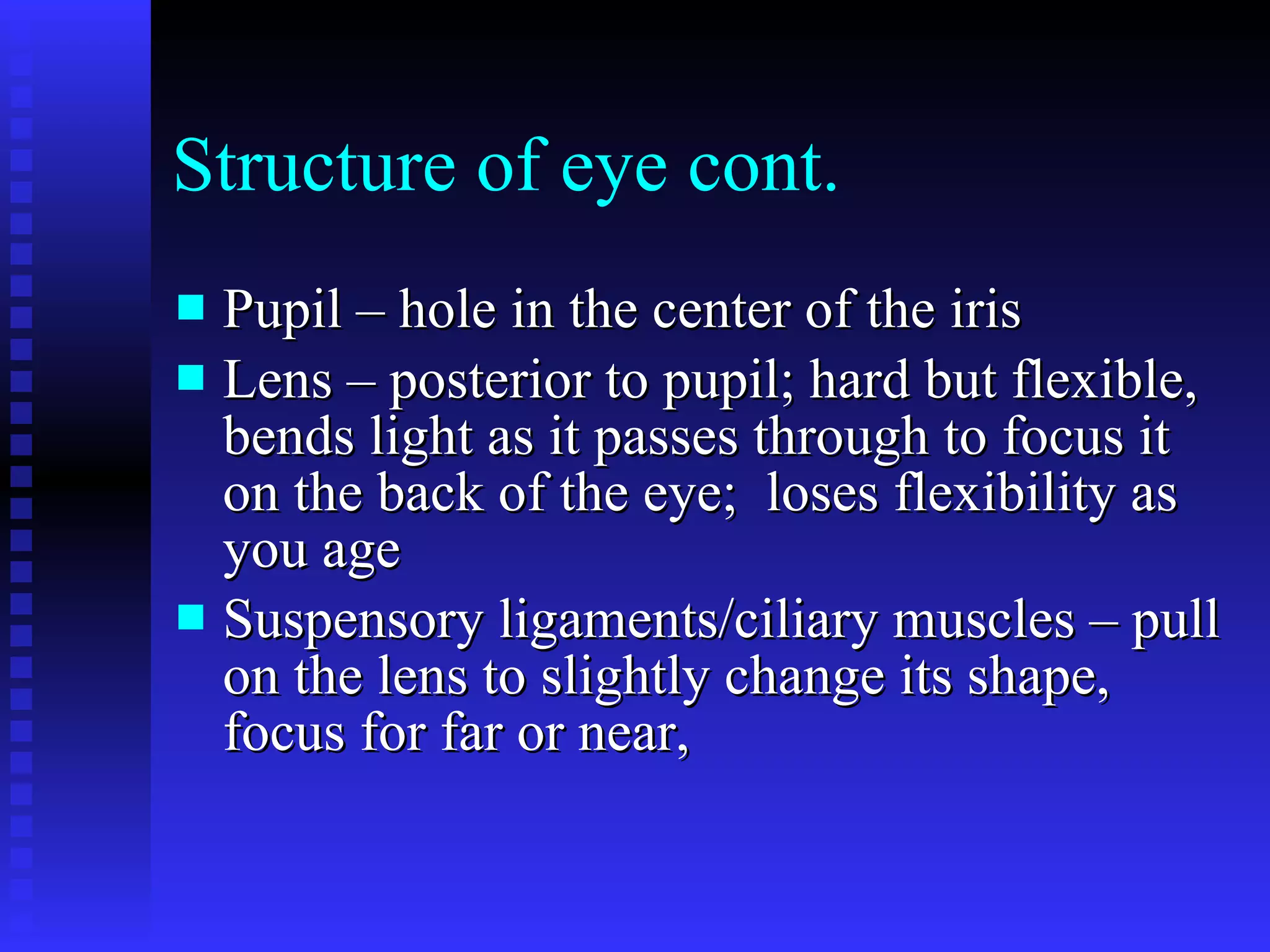 Structure of eye cont. Pupil – hole in the center of the iris  Lens – posterior to pupil; hard but flexible, bends light as it passes through to focus it on the back of the eye;  loses flexibility as you age Suspensory ligaments/ciliary muscles – pull on the lens to slightly change its shape, focus for far or near,  