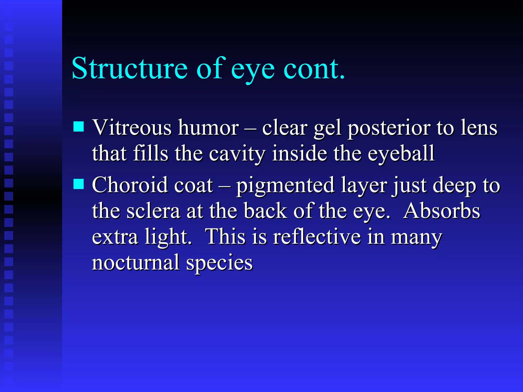 Structure of eye cont. Vitreous humor – clear gel posterior to lens that fills the cavity inside the eyeball Choroid coat – pigmented layer just deep to the sclera at the back of the eye.  Absorbs extra light.  This is reflective in many nocturnal species 