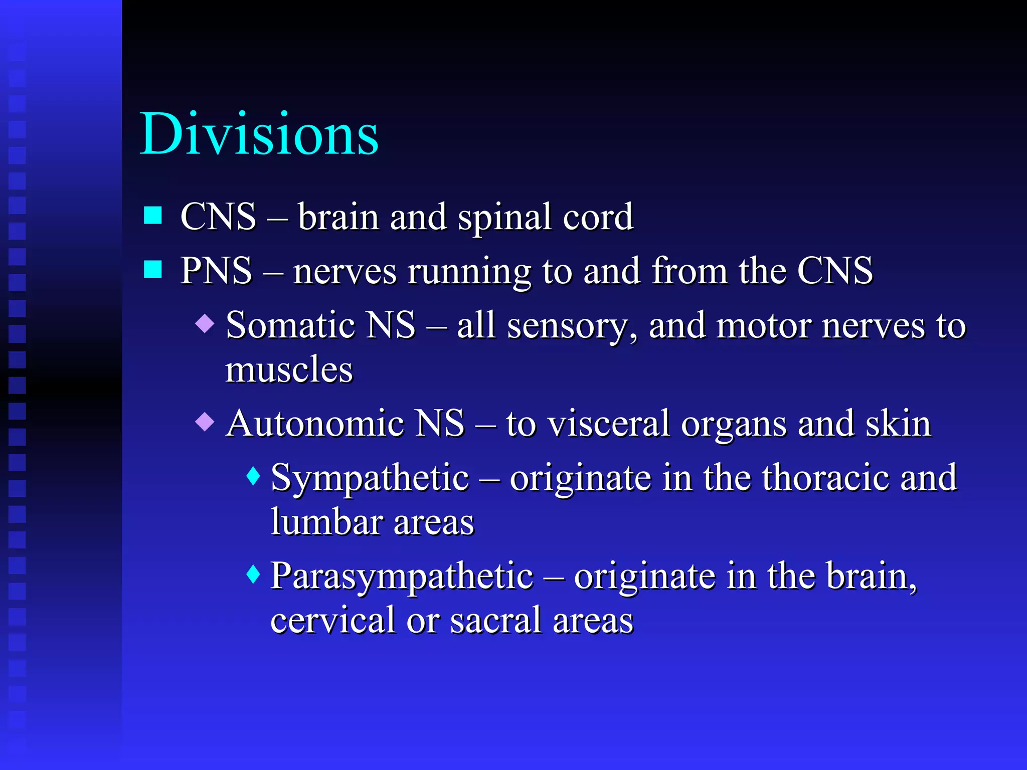 Divisions CNS – brain and spinal cord PNS – nerves running to and from the CNS Somatic NS – all sensory, and motor nerves to muscles Autonomic NS – to visceral organs and skin Sympathetic – originate in the thoracic and lumbar areas Parasympathetic – originate in the brain, cervical or sacral areas 