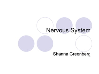 Nervous System Shanna Greenberg 