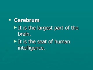 Cerebrum It is the largest part of the brain.  It is the seat of human intelligence.  