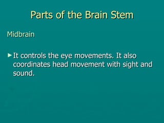 Parts of the Brain Stem Midbrain It controls the eye movements. It also coordinates head movement with sight and sound. 