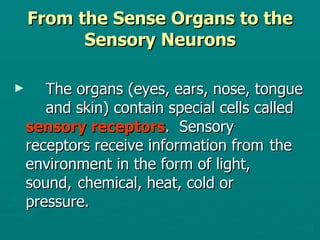 From the Sense Organs to the Sensory Neurons The organs (eyes, ears, nose, tongue  and skin) contain special cells called  sensory receptors .  Sensory  receptors receive information from  the environment in the form of light,  sound,  chemical, heat, cold or  pressure.  