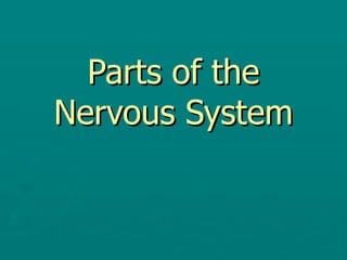 Parts of the Nervous System 