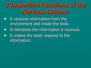 3 Important Functions of the Nervous System: ,[object Object],[object Object],[object Object]