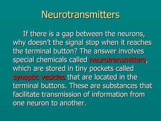 Neurotransmitters ,[object Object]
