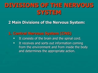 DIVISIONS OF THE NERVOUS SYSTEM ,[object Object],[object Object],[object Object],[object Object]
