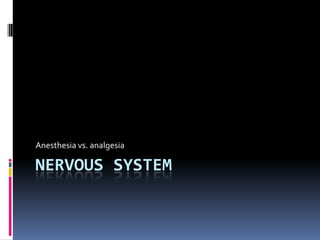 Nervous system Anesthesia vs. analgesia 