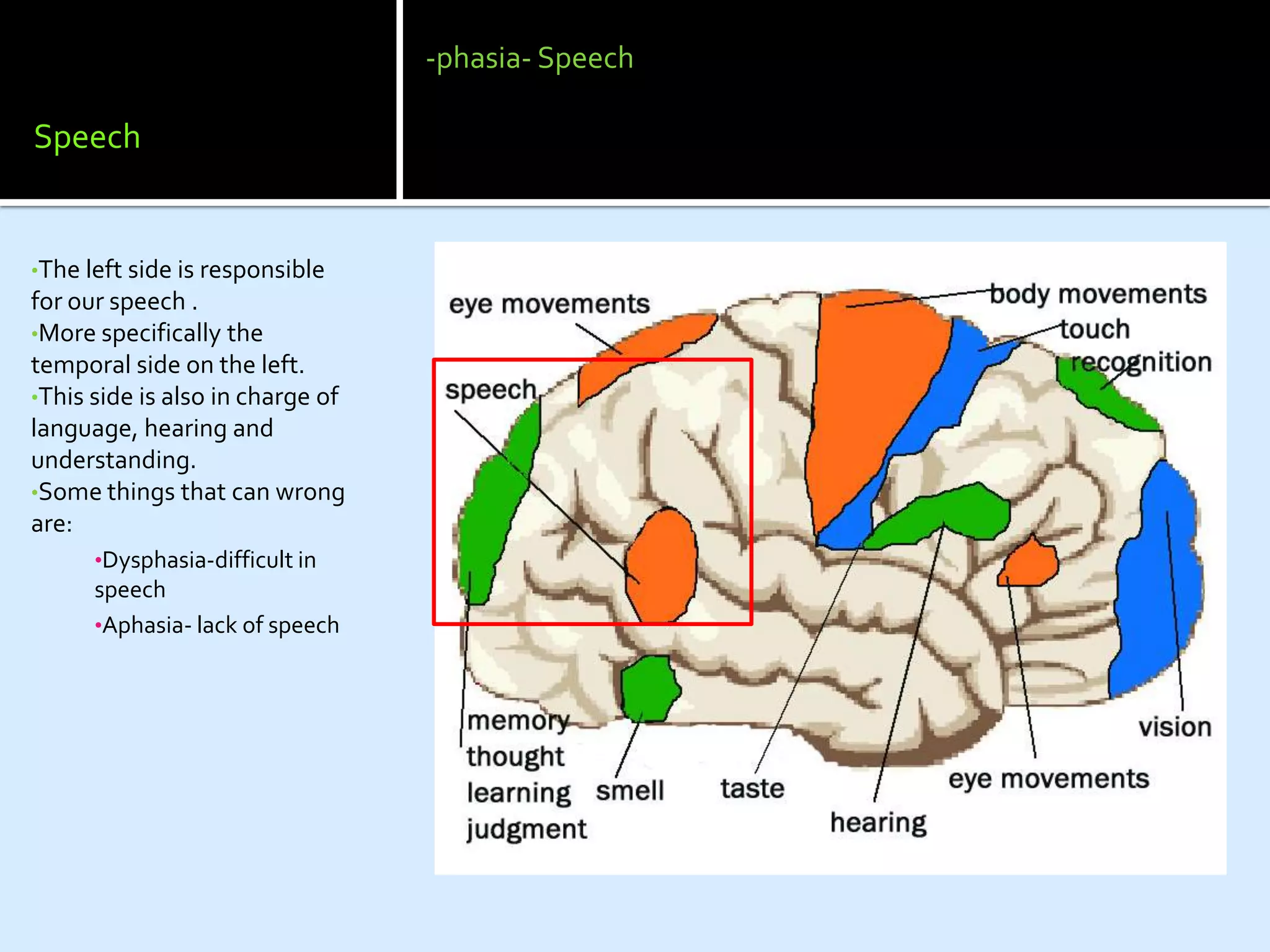 -phasia- Speech

Speech


•The left side is responsible
for our speech .
•More specifically the
temporal side on the left.
•This side is also in charge of
language, hearing and
understanding.
•Some things that can wrong
are:
      •Dysphasia-difficult in
      speech
      •Aphasia- lack of speech
 