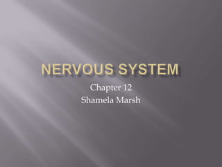 Chapter 12
Shamela Marsh
 