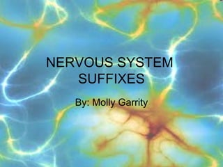 NERVOUS SYSTEM
   SUFFIXES
   By: Molly Garrity
 