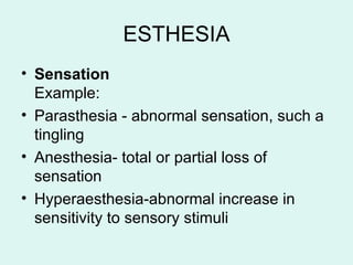 ESTHESIA
• Sensation
Example:
• Parasthesia - abnormal sensation, such a
tingling
• Anesthesia- total or partial loss of
sensation
• Hyperaesthesia-abnormal increase in
sensitivity to sensory stimuli