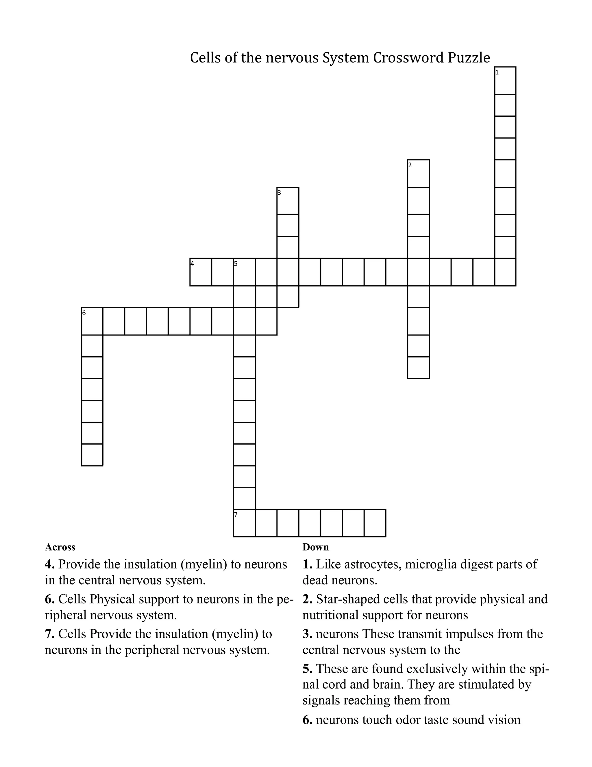 Cells of the nervous System Crossword Puzzle
                                                                                     1




                                                                     2


                                           3




                           4       5




         6




                                   7



Across                                            Down
4. Provide the insulation (myelin) to neurons     1. Like astrocytes, microglia digest parts of
in the central nervous system.                    dead neurons.
6. Cells Physical support to neurons in the pe-   2. Star-shaped cells that provide physical and
ripheral nervous system.                          nutritional support for neurons
7. Cells Provide the insulation (myelin) to       3. neurons These transmit impulses from the
neurons in the peripheral nervous system.         central nervous system to the
                                                  5. These are found exclusively within the spi-
                                                  nal cord and brain. They are stimulated by
                                                  signals reaching them from
                                                  6. neurons touch odor taste sound vision
 