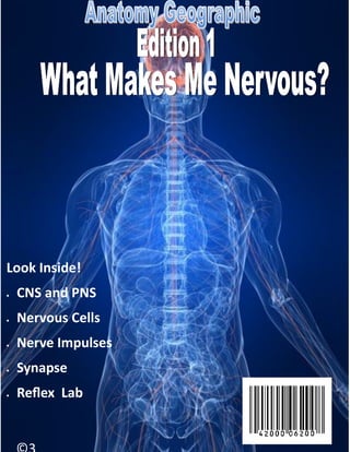 Look Inside!
   CNS and PNS
   Nervous Cells
   Nerve Impulses
   Synapse
   Reflex Lab
 