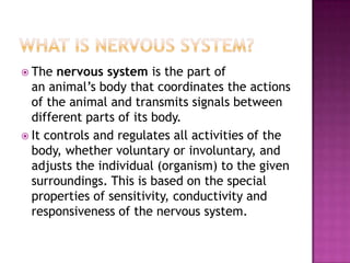  The  nervous system is the part of
  an animal’s body that coordinates the actions
  of the animal and transmits signals between
  different parts of its body.
 It controls and regulates all activities of the
  body, whether voluntary or involuntary, and
  adjusts the individual (organism) to the given
  surroundings. This is based on the special
  properties of sensitivity, conductivity and
  responsiveness of the nervous system.
 