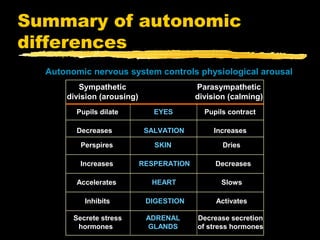 Summary of autonomic
differences
  Autonomic nervous system controls physiological arousal
         Sympathetic                      Parasympathetic
      division (arousing)                 division (calming)
        Pupils dilate          EYES         Pupils contract

        Decreases            SALVATION         Increases

          Perspires            SKIN              Dries

          Increases         RESPERATION        Decreases

        Accelerates           HEART              Slows

           Inhibits          DIGESTION         Activates

        Secrete stress       ADRENAL      Decrease secretion
         hormones            GLANDS       of stress hormones
 