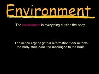 The environment is everything outside the body.




The sense organs gather information from outside
 the body, then send the messages to the brain.
 