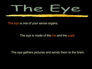 The eye is one of your sense organs.



        The eye is made of the iris and the pupil.




  The eye gathers pictures and sends them to the brain.
 