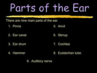 There are nine main parts of the ear.
 1. Pinna                           5. Anvil

 2. Ear canal                       6. Stirrup

 3. Ear drum                        7. Cochlea

 4. Hammer                          8. Eustachian tube

                9. Auditory nerve
 