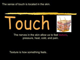 The sense of touch is located in the skin.




          The nerves in the skin allow us to feel texture,
                 pressure, heat, cold, and pain.




      Texture is how something feels.
 
