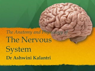 The Anatomy and Physiology of
The Nervous
System
Dr Ashwini Kalantri
 