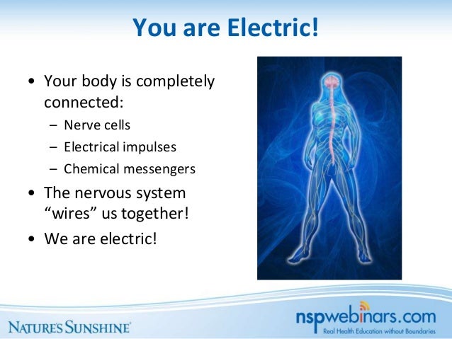 Understanding and Strengthening the Nervous system