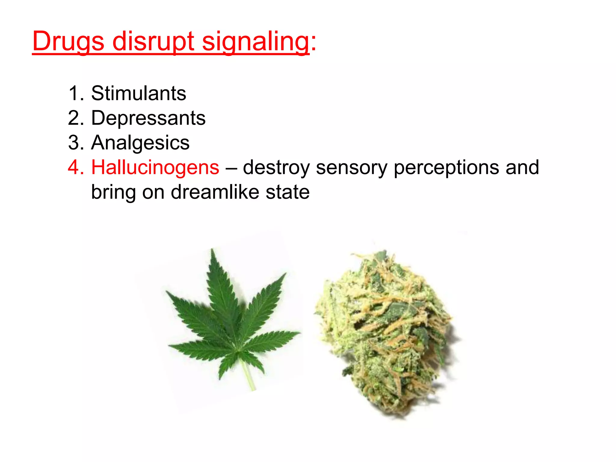 Drugs disrupt signaling:
   1. Stimulants
   2. Depressants
   3. Analgesics
   4. Hallucinogens – destroy sensory perceptions and
      bring on dreamlike state
 