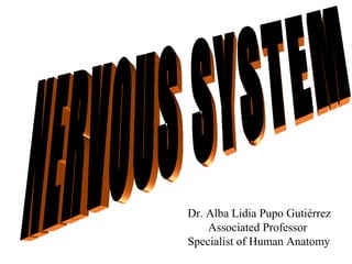 Dr. Alba Lidia Pupo Gutiérrez
    Associated Professor
Specialist of Human Anatomy
 
