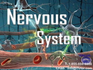 System
Nervous
T- 1-855-694-8886
Email- info@iTutor.com
By iTutor.com
 