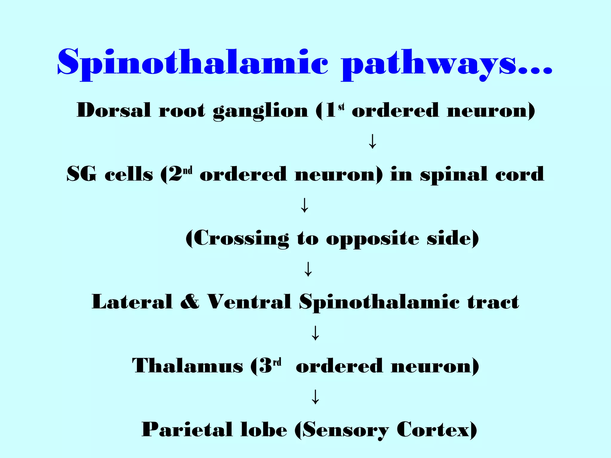 Spinothalamic pathways…
Dorsal root ganglion (1st
ordered neuron)
↓
SG cells (2nd
ordered neuron) in spinal cord
↓
(Crossing to opposite side)
↓
Lateral & Ventral Spinothalamic tract
↓
Thalamus (3rd
ordered neuron)
↓
Parietal lobe (Sensory Cortex)
 