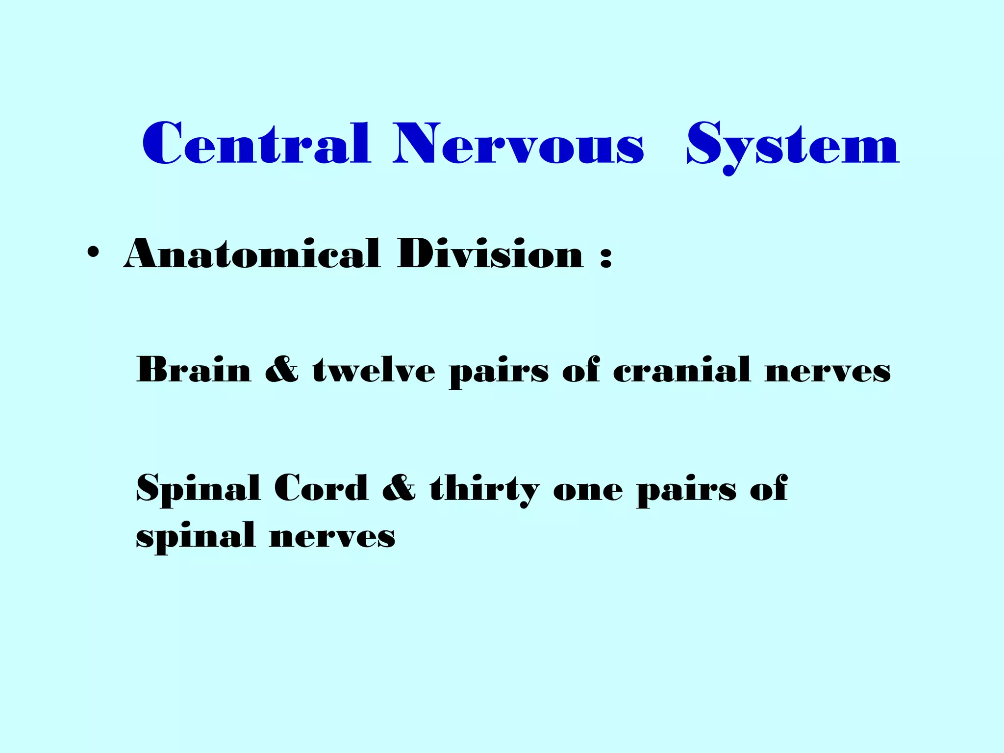 Central Nervous System
• Anatomical Division :
Brain & twelve pairs of cranial nerves
Spinal Cord & thirty one pairs of
spinal nerves
 