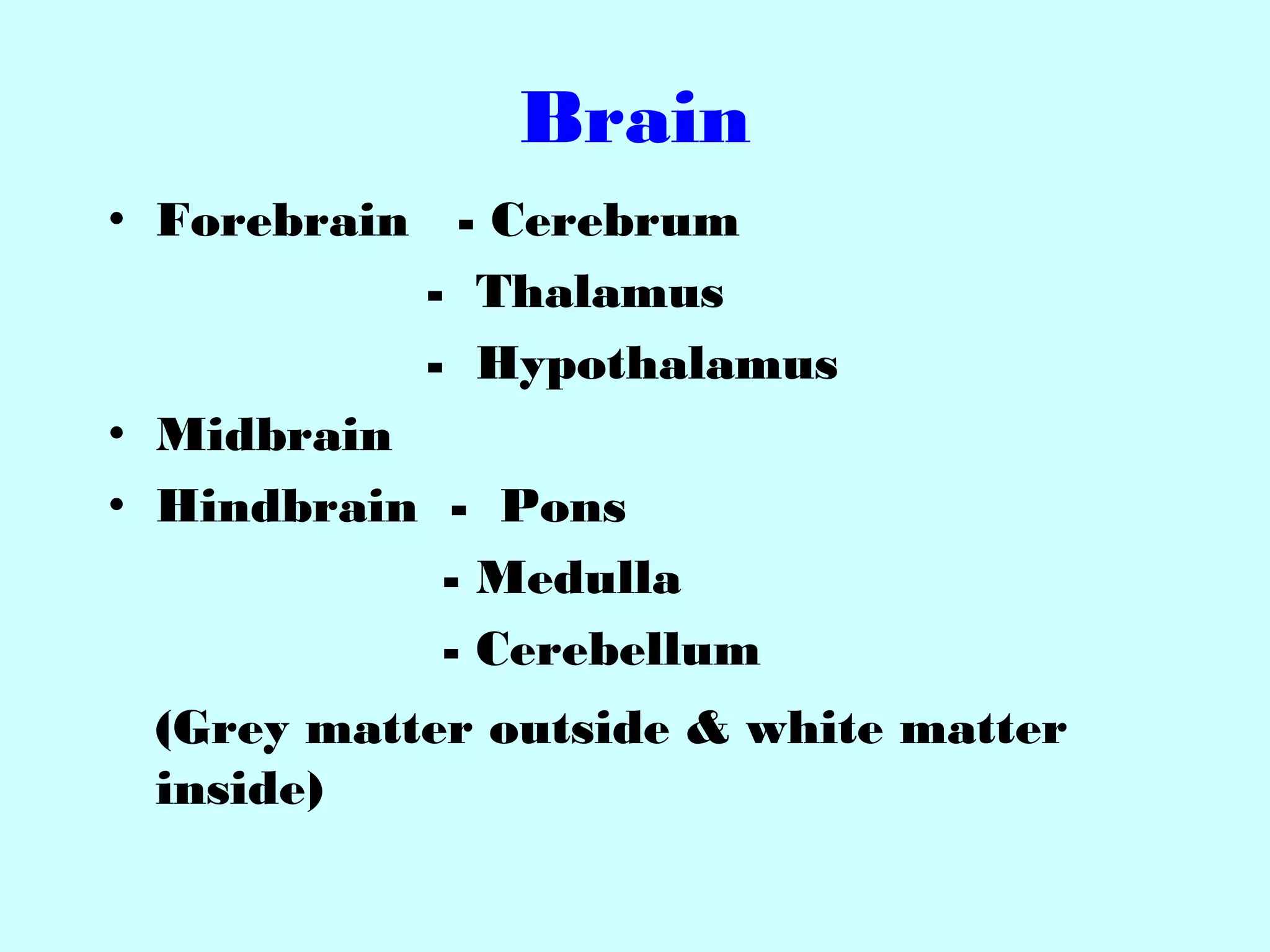 Brain
• Forebrain - Cerebrum
- Thalamus
- Hypothalamus
• Midbrain
• Hindbrain - Pons
- Medulla
- Cerebellum
(Grey matter outside & white matter
inside)
 